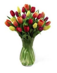 tulip vase